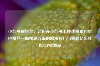小红书刷粉丝，如何在小红书上快速积累和维护粉丝—揭秘高效率的刷粉技巧与策略亿乐社区SUP货源站