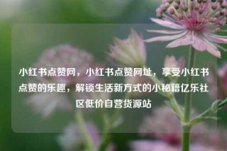 小红书点赞网，小红书点赞网址，享受小红书点赞的乐趣，解锁生活新方式的小秘籍亿乐社区低价自营货源站