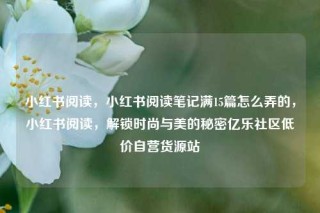 小红书阅读，小红书阅读笔记满15篇怎么弄的，小红书阅读，解锁时尚与美的秘密亿乐社区低价自营货源站