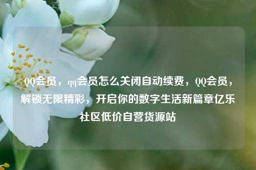 QQ会员，qq会员怎么关闭自动续费，QQ会员	，解锁无限精彩，开启你的数字生活新篇章亿乐社区低价自营货源站  第1张