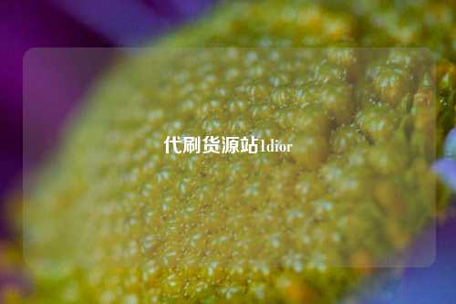 代刷货源站1dior  第1张