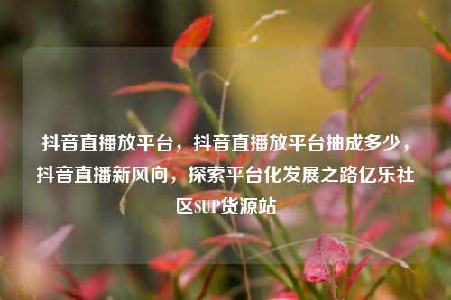 抖音直播放平台	，抖音直播放平台抽成多少，抖音直播新风向，探索平台化发展之路亿乐社区SUP货源站  第1张