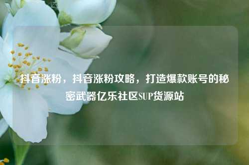 抖音涨粉，抖音涨粉攻略，打造爆款账号的秘密武器亿乐社区SUP货源站  第1张