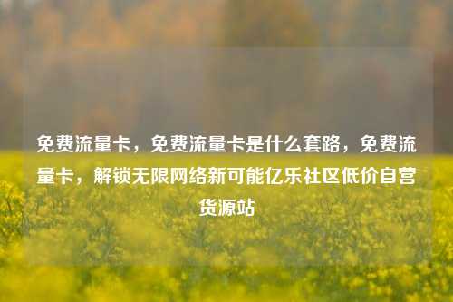 免费流量卡，免费流量卡是什么套路，免费流量卡，解锁无限网络新可能亿乐社区低价自营货源站  第1张