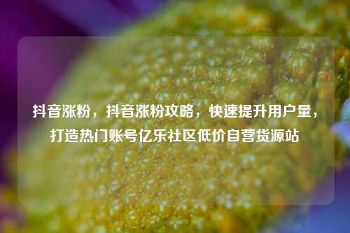 抖音涨粉	，抖音涨粉攻略，快速提升用户量，打造热门账号亿乐社区低价自营货源站  第1张