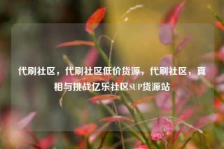 代刷社区，代刷社区低价货源，代刷社区，真相与挑战亿乐社区SUP货源站