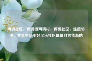 两碗社区，两碗镇两碗村，两碗社区，连接邻里，共享生活美好亿乐社区低价自营货源站