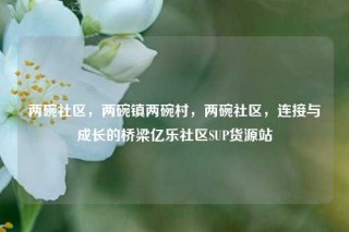 两碗社区，两碗镇两碗村，两碗社区，连接与成长的桥梁亿乐社区SUP货源站
