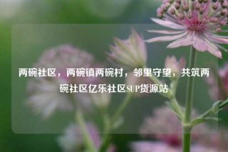 两碗社区，两碗镇两碗村，邻里守望，共筑两碗社区亿乐社区SUP货源站