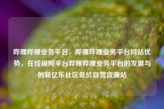 哔哩哔哩业务平台，哔哩哔哩业务平台网站优势，在线视频平台哔哩哔哩业务平台的发展与创新亿乐社区低价自营货源站