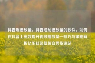 抖音刷播放量，抖音增加播放量的软件，如何在抖音上高效提升视频播放量—技巧与策略解析亿乐社区低价自营货源站