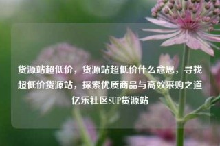 货源站超低价，货源站超低价什么意思，寻找超低价货源站，探索优质商品与高效采购之道亿乐社区SUP货源站