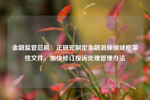 金融监管总局：正研究制定金融消保领域框架性文件	，加快修订投诉处理管理办法  第1张