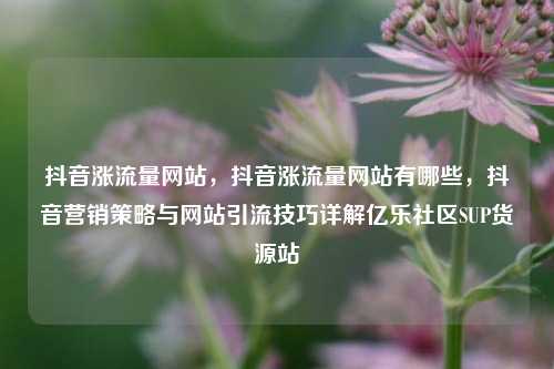 抖音涨流量网站，抖音涨流量网站有哪些	，抖音营销策略与网站引流技巧详解亿乐社区SUP货源站  第1张