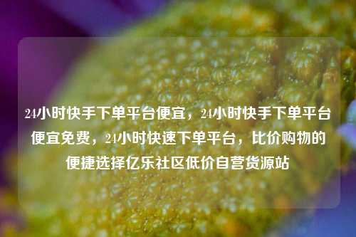 24小时快手下单平台便宜	，24小时快手下单平台便宜免费，24小时快速下单平台，比价购物的便捷选择亿乐社区低价自营货源站  第1张