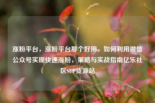 涨粉平台	，涨粉平台那个好用，如何利用微信公众号实现快速涨粉，策略与实战指南亿乐社区SUP货源站  第1张