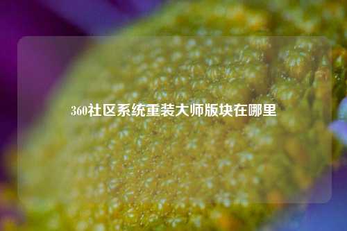 360社区系统重装大师版块在哪里  第1张