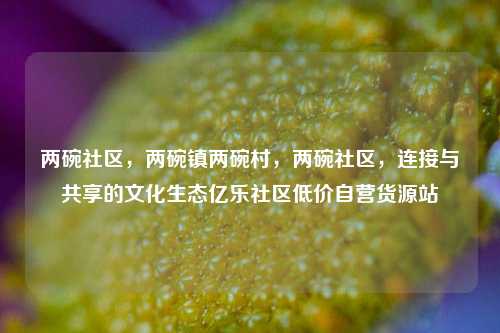 两碗社区	，两碗镇两碗村，两碗社区，连接与共享的文化生态亿乐社区低价自营货源站  第1张